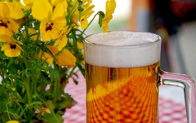 Five Good Reasons to Go for Beer